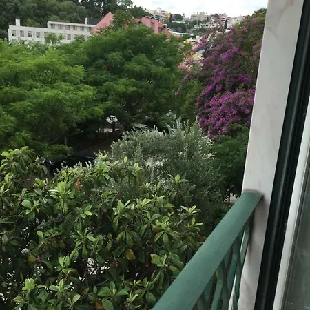 Jardim Flores Luxury